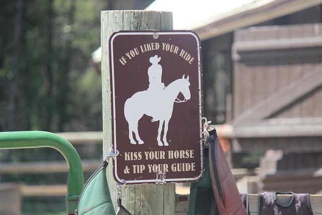 Zu Pferd, Yellowstone, Cowboy, Reiten