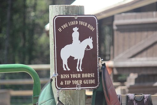 Free Horseback Yellowstone photo and picture