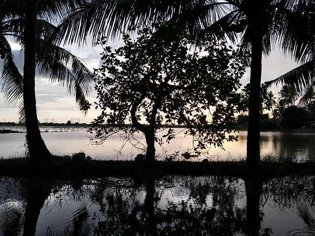 Free Reflection Water photo and picture