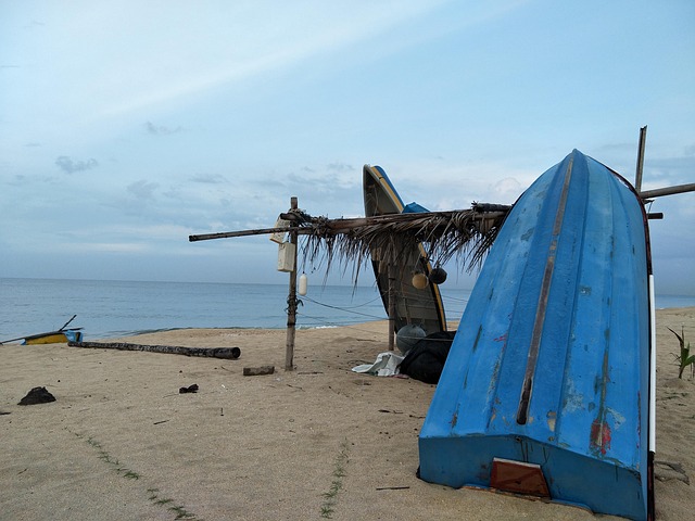 Free Beach Water photo and picture