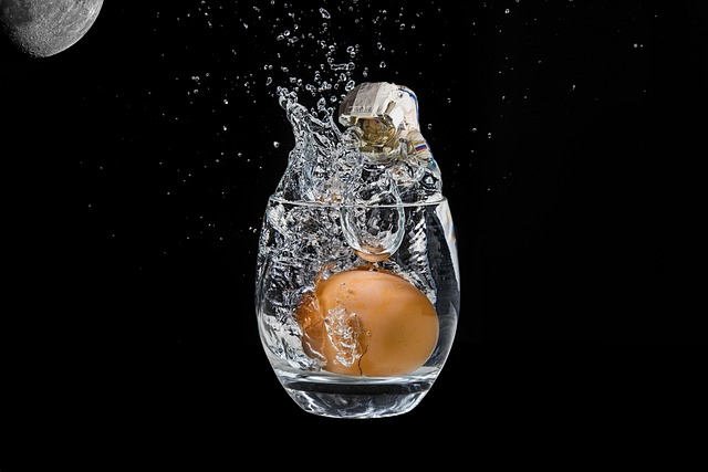 Free Egg Space photo and picture