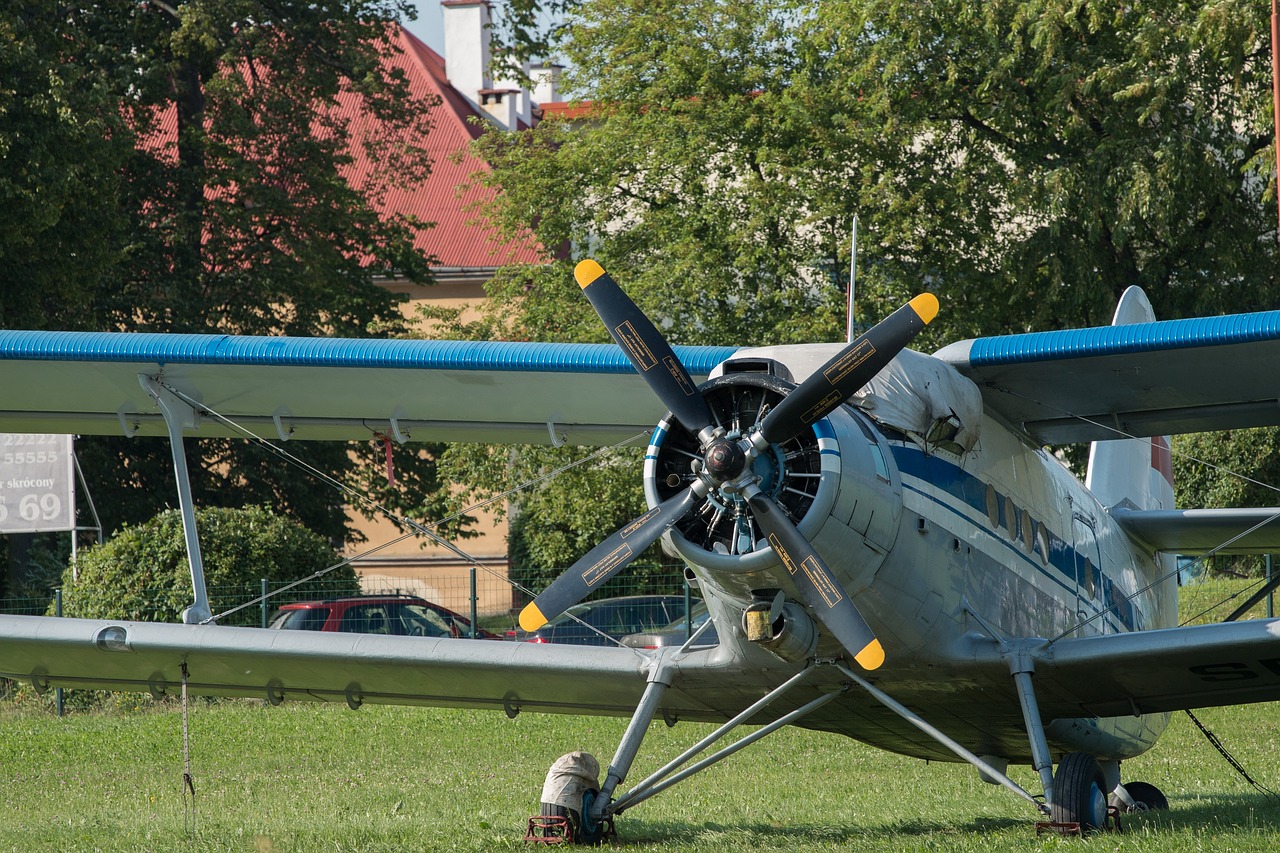 The Plane - free online jigsaw puzzle photo