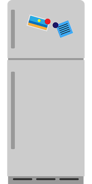 Free Fridge Kitchen vector and picture