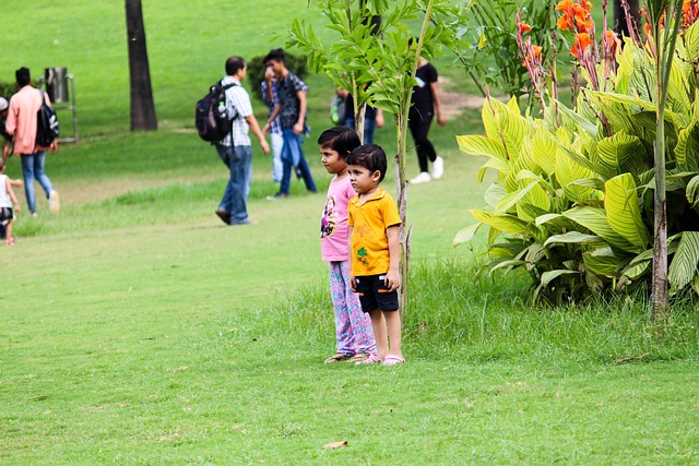 Free Kids Children photo and picture