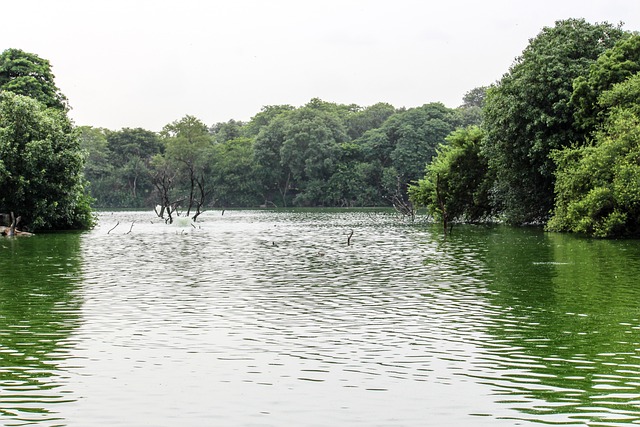 Free Lake Nature photo and picture