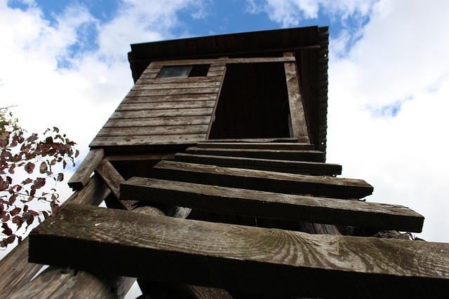 Free Cottage Ladder photo and picture