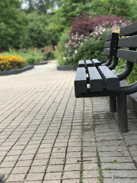 Free Park Bench Hyde Park photo and picture