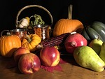 thanksgiving, seasonal, fall