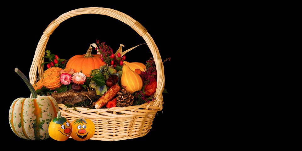 Fall Harvest Thanksgiving Autumn - Free photo on Pixabay - Pixabay