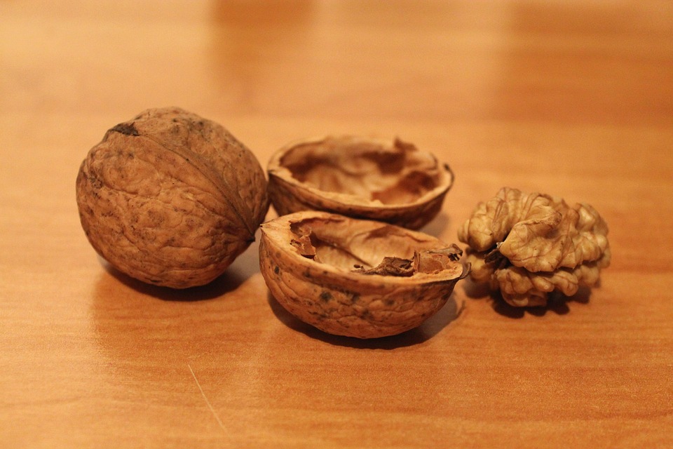 Walnut Walnuts Cut In Half · Free photo on Pixabay