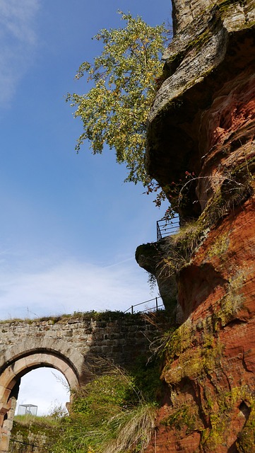 Pfalz, Burg, Ruine