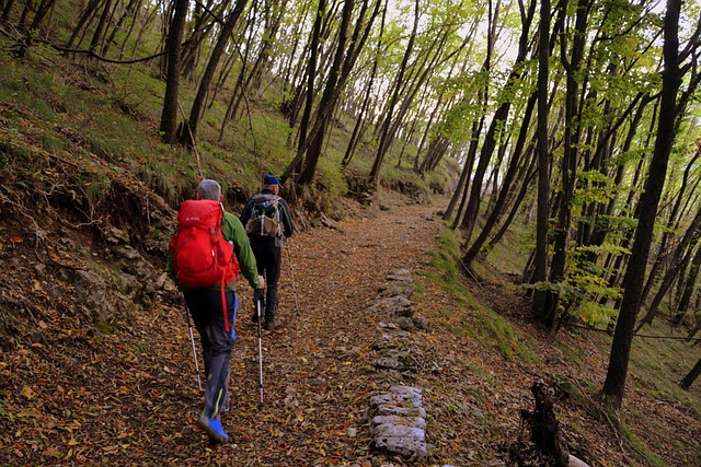 Excursion Trail Mountain Walking - Free photo on Pixabay