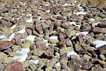 kennedy, stone, texture