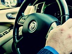 horse, by car, steering wheel