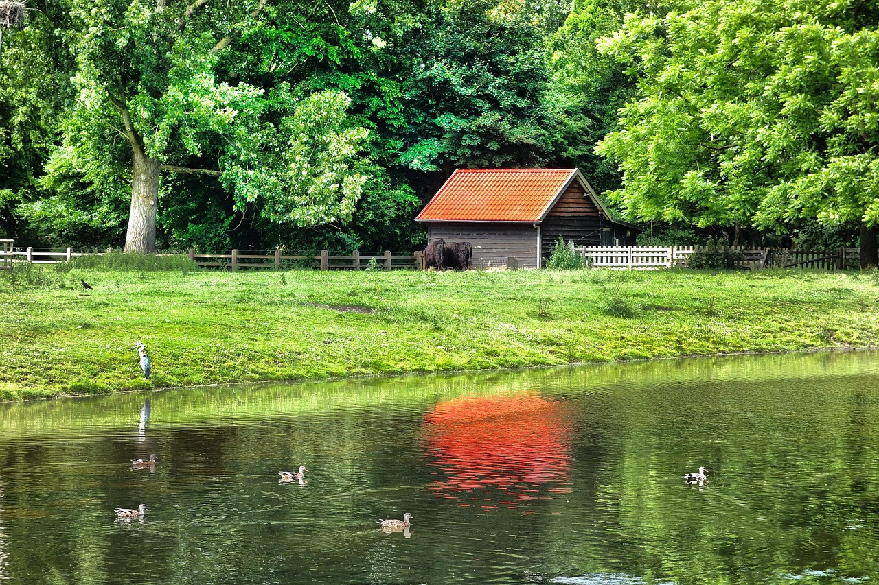 Building - free online jigsaw puzzle photo