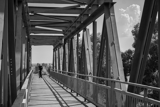 Free Bridge Artist photo and picture