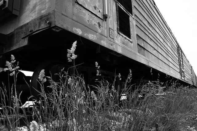 Free Railway Sky photo and picture