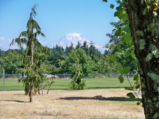 Free Scenery Mountain photo and picture