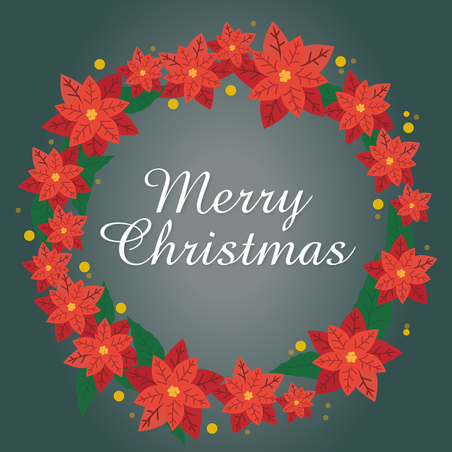 Download free HD stock image of Christmas Star Christmas Free christmas star christmas decoration vector