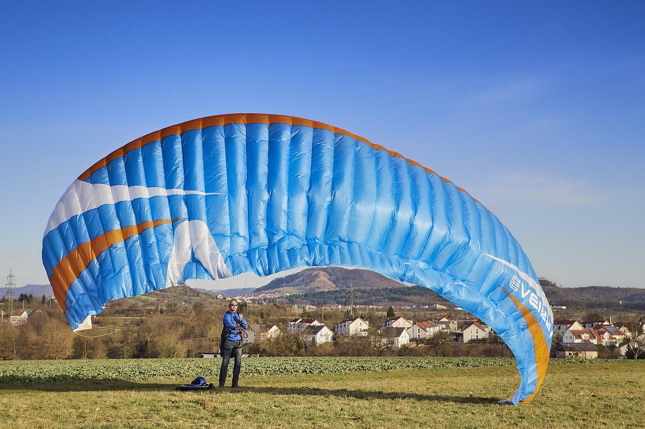 Kite Flyer - free online jigsaw puzzle photo