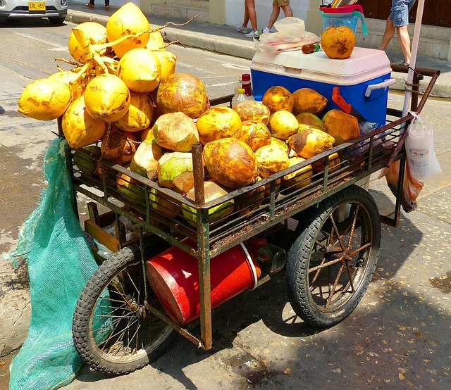 Frugt Kurv, Cartagena