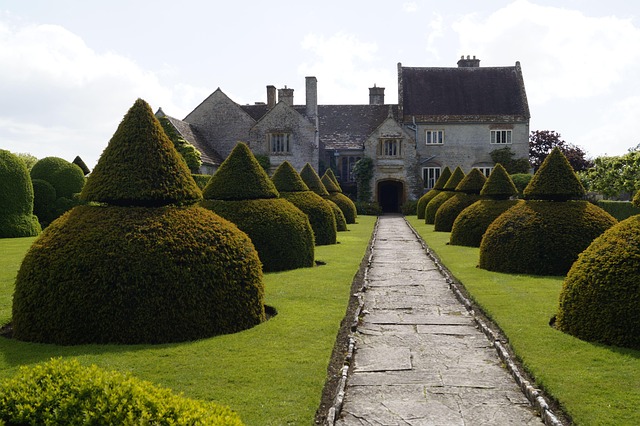 Garten, Haus, Weg, Gartenkunst, Bäume