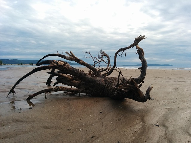 Free Sky Beach photo and picture