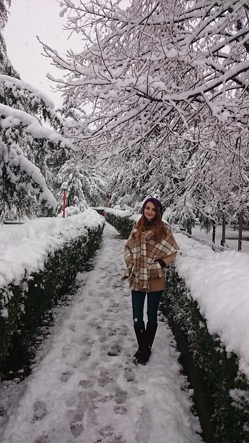 Free Winter Snowy photo and picture
