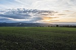 sunset, meadow, money