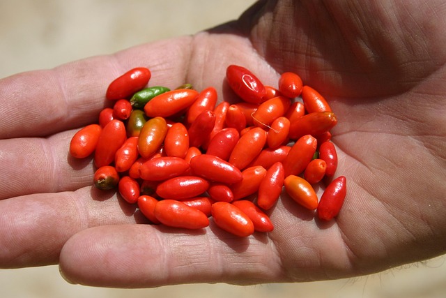 Free Peppers Garden photo and picture