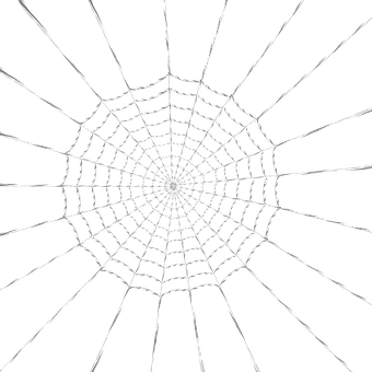 Free Web Spider illustration and picture