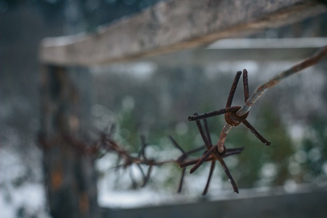 Free Wire Spikes photo and picture