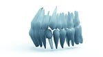 teeth, jaw, 3d model