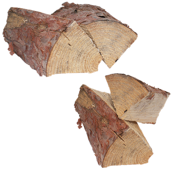 Kiefer, Protokoll, Protokolle, Holz