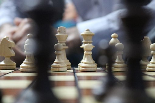 Free Chess Horse photo and picture