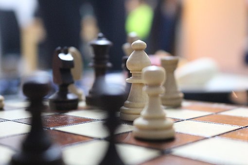 Free Chess Horse photo and picture