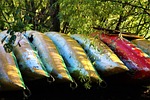 canoeing, boot, lakeside
