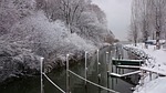 morning, haven, winter