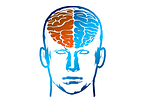 brain, head, half