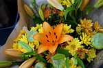 asiatic lily, floral bouquet, blossom
