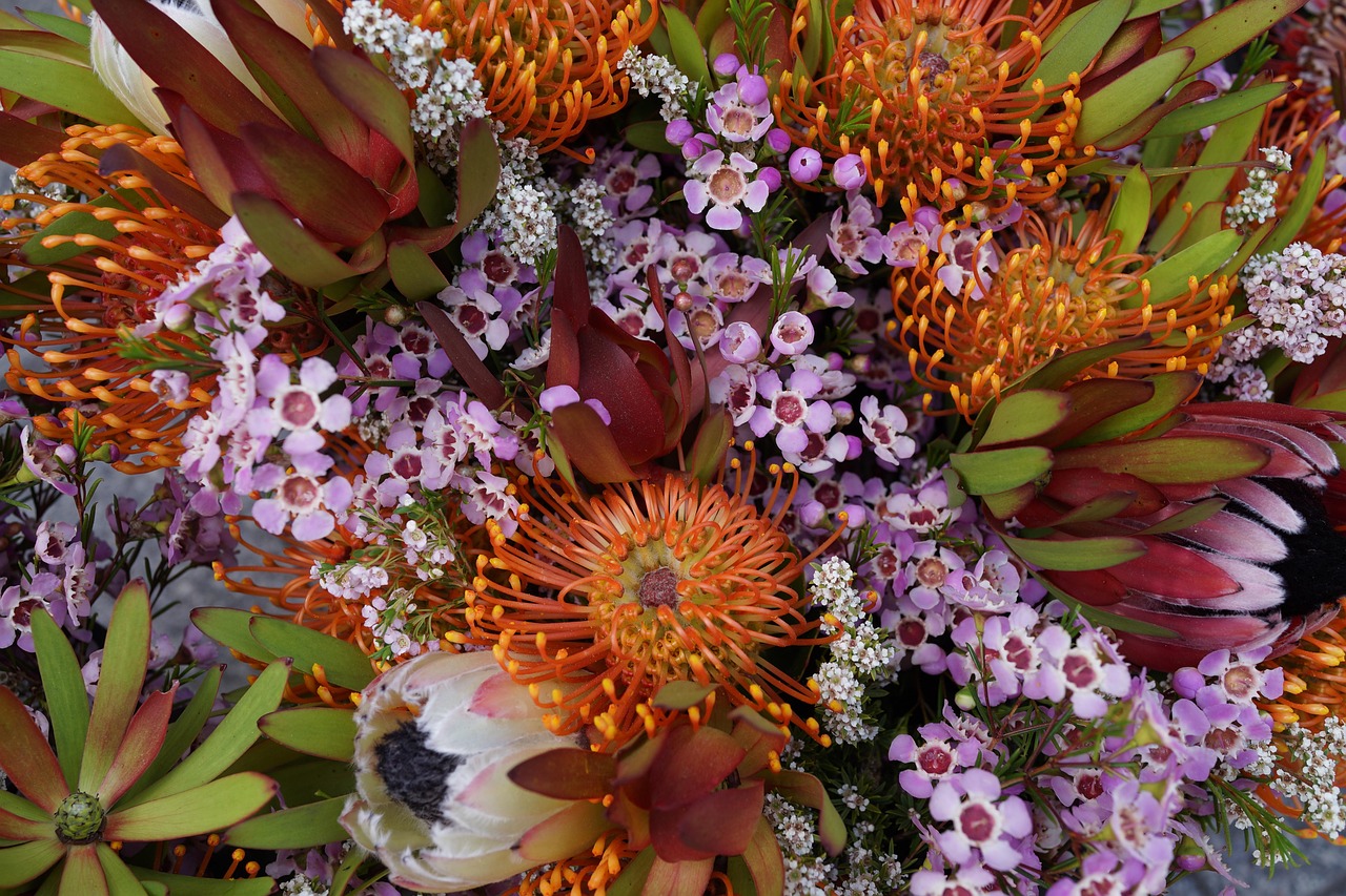20,000+ Free Native Florals & Nature Images - Pixabay