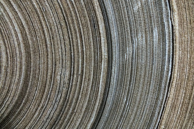 background, texture, textile, cloth, roll, design, layer, backgrounds and textures, material