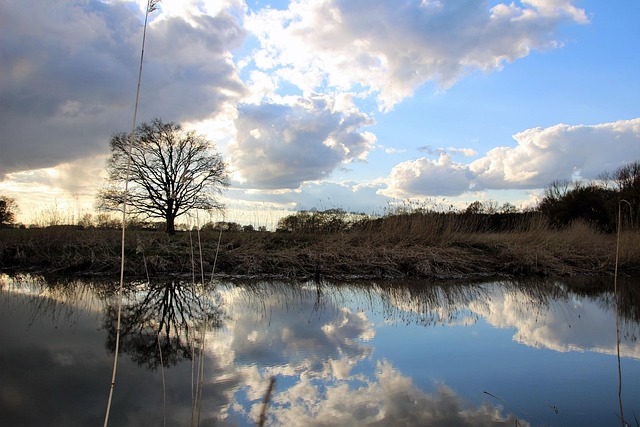 Free Landscape Lake photo and picture