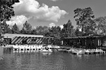 boat ride, herman national park, houston texas