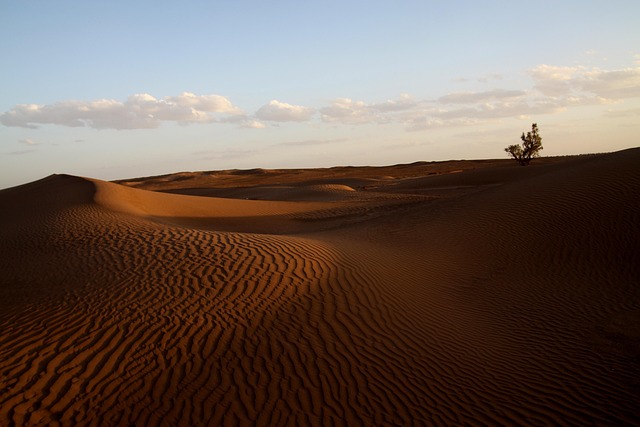 Free Desert Morocco photo and picture