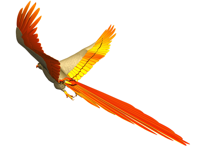 Download free HD stock image of Parrot Flight Free parrot flight nature illustration
