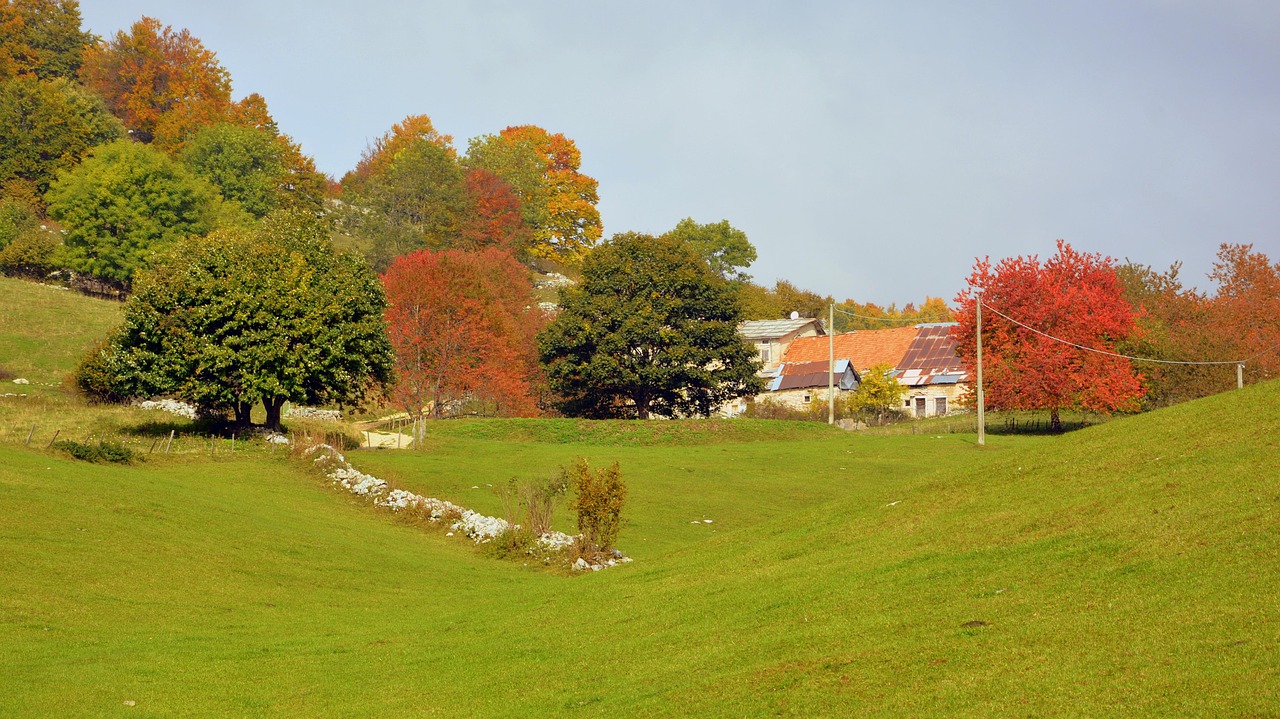Autumn - free online jigsaw puzzle photo