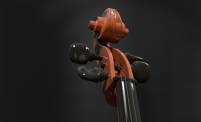 Free Cello Strings photo and picture