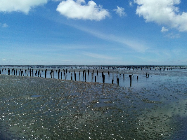 Free Taiwan Chiayi photo and picture