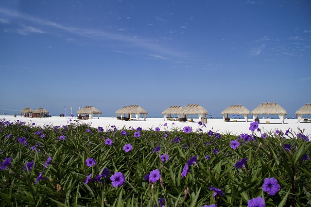 Free Marco Island Florida photo and picture